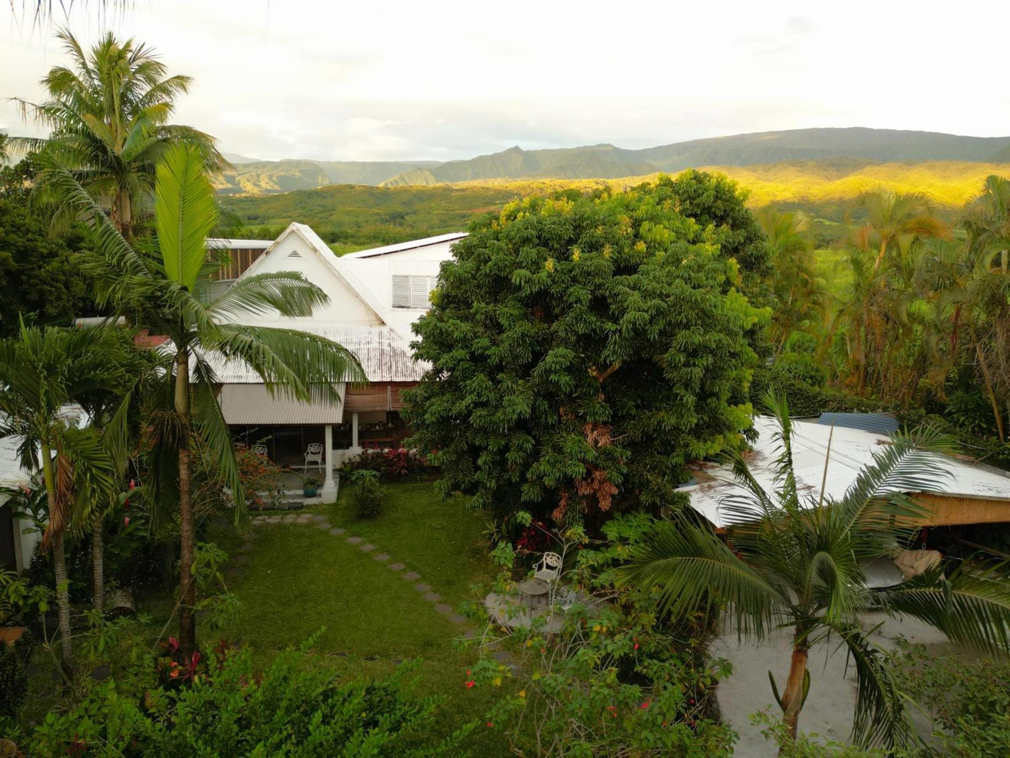 Bed and Breakfast Le Medinilla Bras-Panon Экстерьер фото